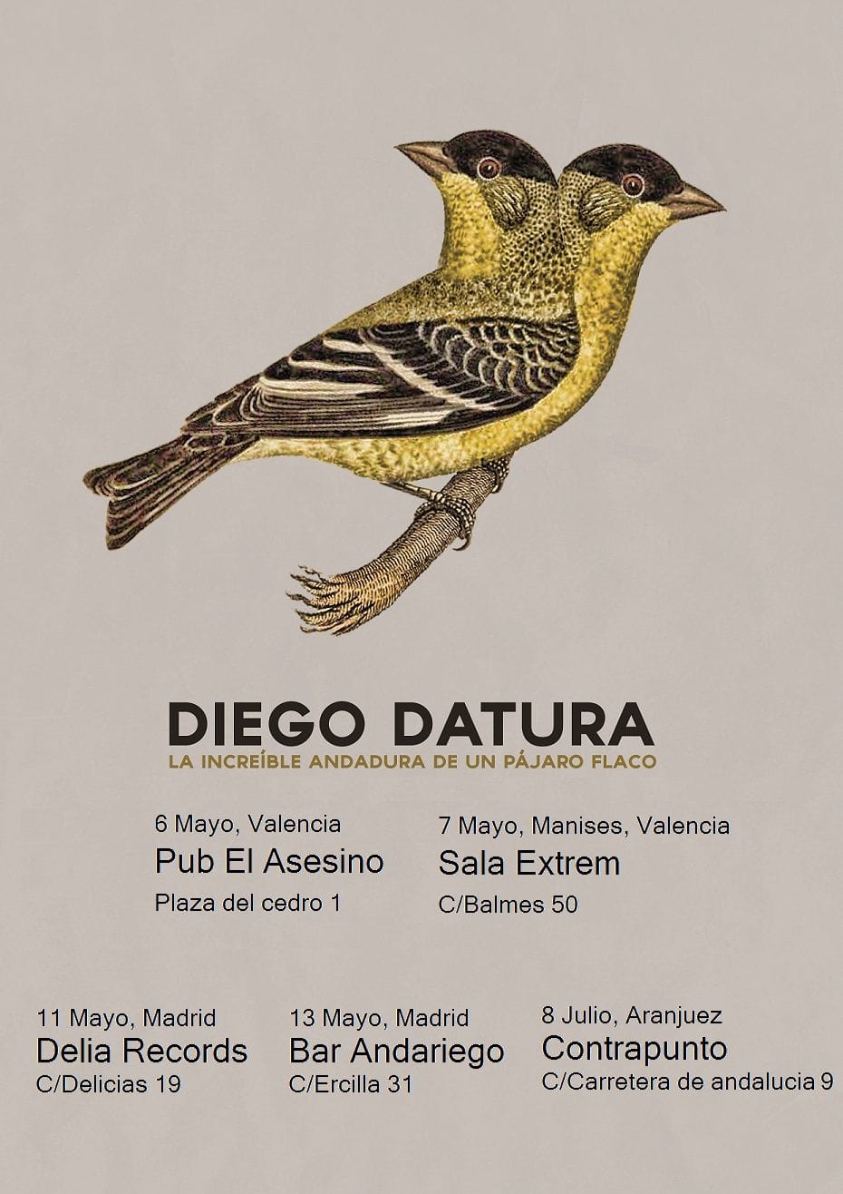 Acústicos @ BodegaClub /// Diego Datura (MADRID)